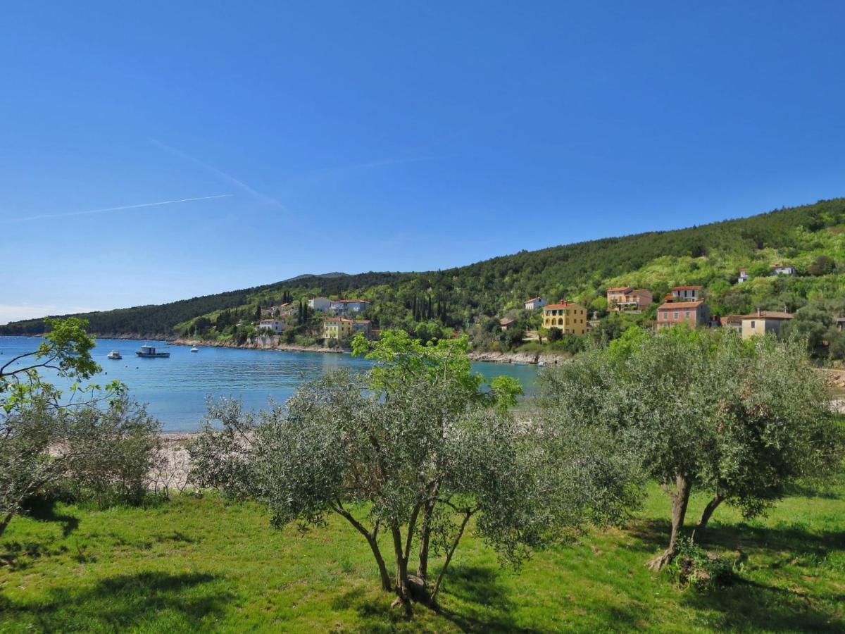 Violetta - Lbn200 By Interhome Apartment Labin (Istria)